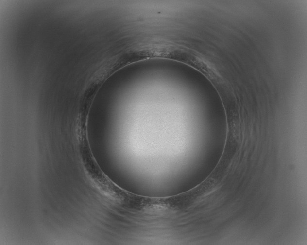 X0000073500594200607311255