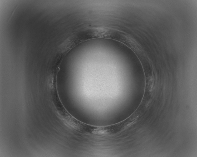 X0000073500602200607311254