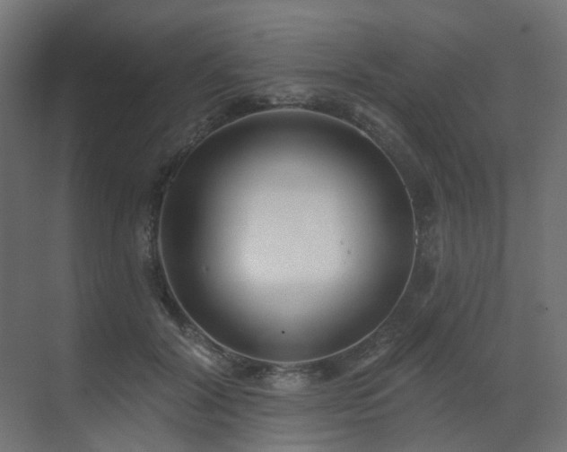 X0000073500604200607311254