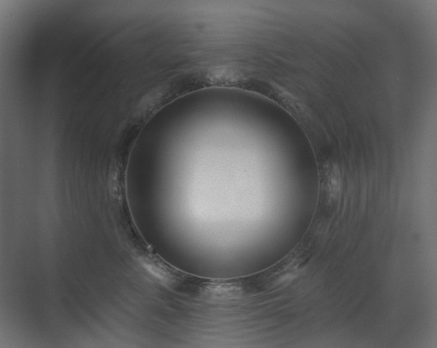 X0000073500619200607311254