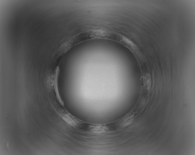 X0000073500621200607311254