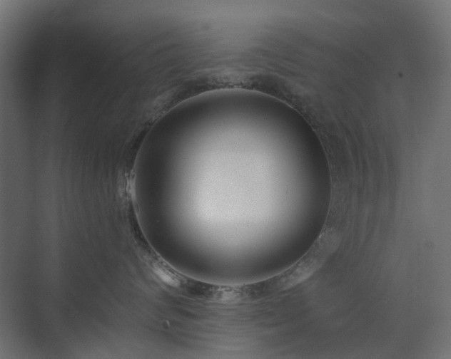 X0000073500624200607311254