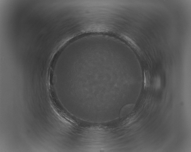 X0000073500627200607311253
