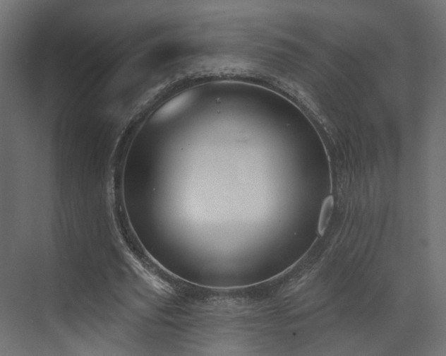 X0000073500629200607311253