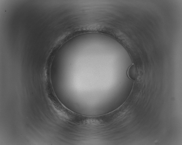 X0000073500636200607311253