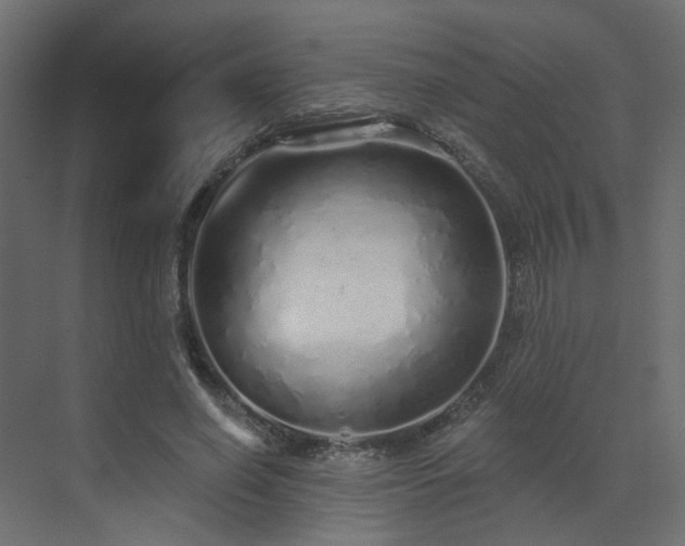 X0000073500638200607311253