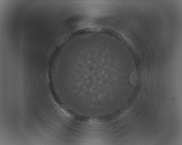 X0000073500641200607311253