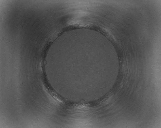 X0000073500643200607311253