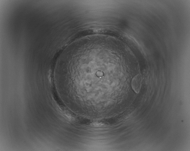 X0000073500650200607311254