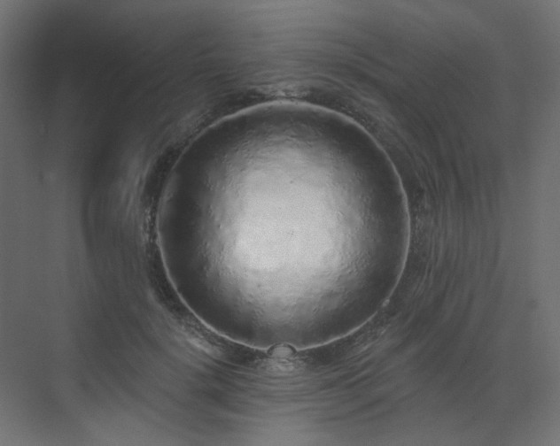 X0000073500652200607311254
