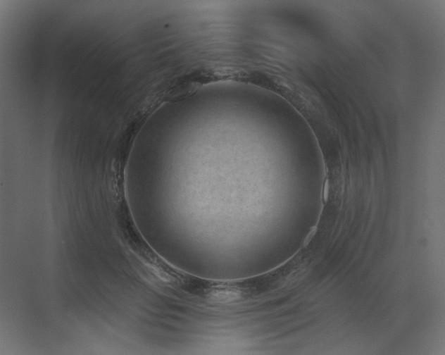 X0000073500653200607311254