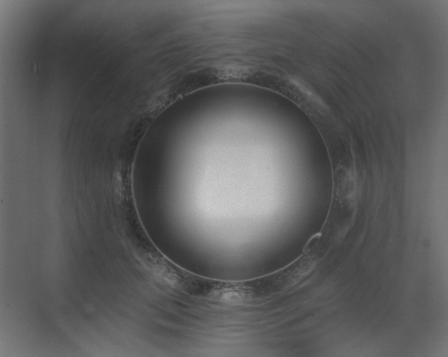 X0000073500655200607311254