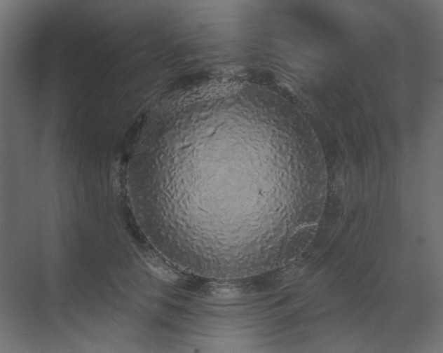 X0000073500658200607311254