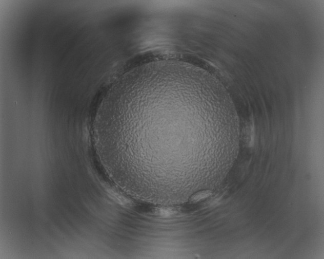 X0000073500662200607311254