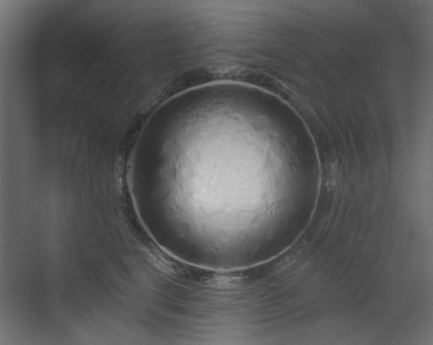 X0000073500664200607311254
