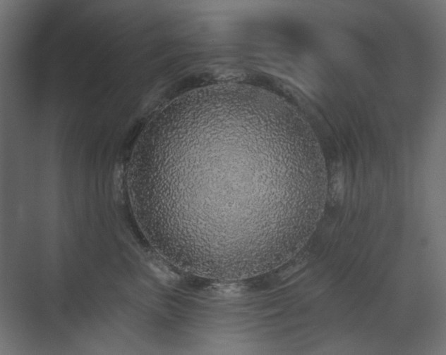 X0000073500667200607311254