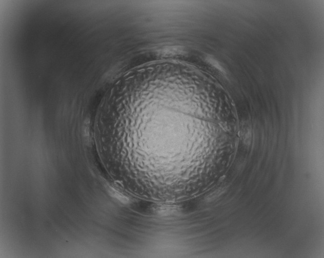 X0000073500670200607311254