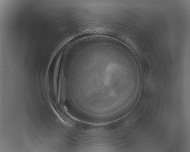 X0000073500674200607311253