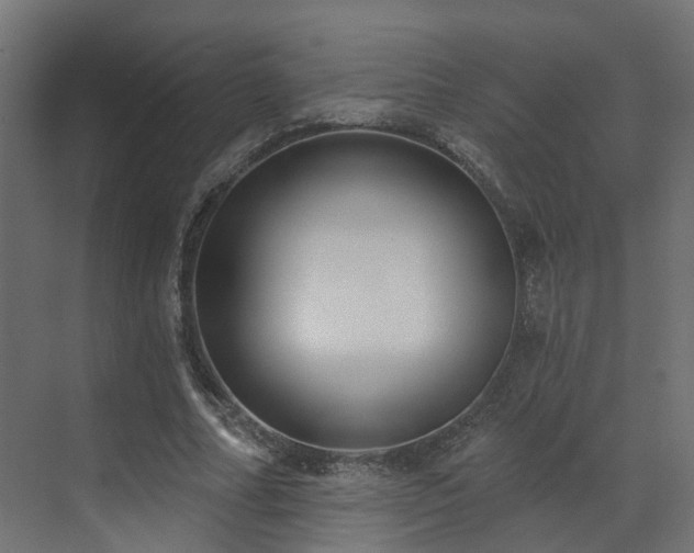 X0000073500682200607311253