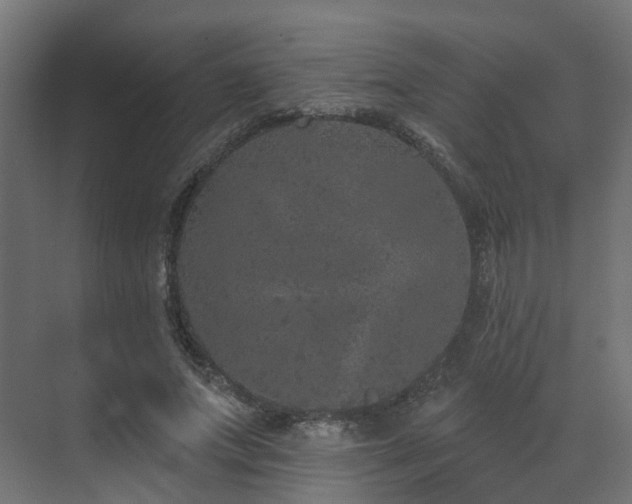 X0000073500687200607311253