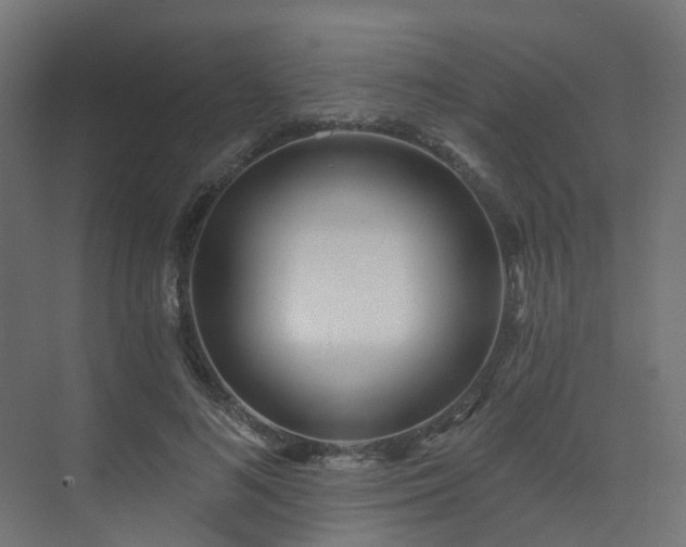 X0000073500692200607311253