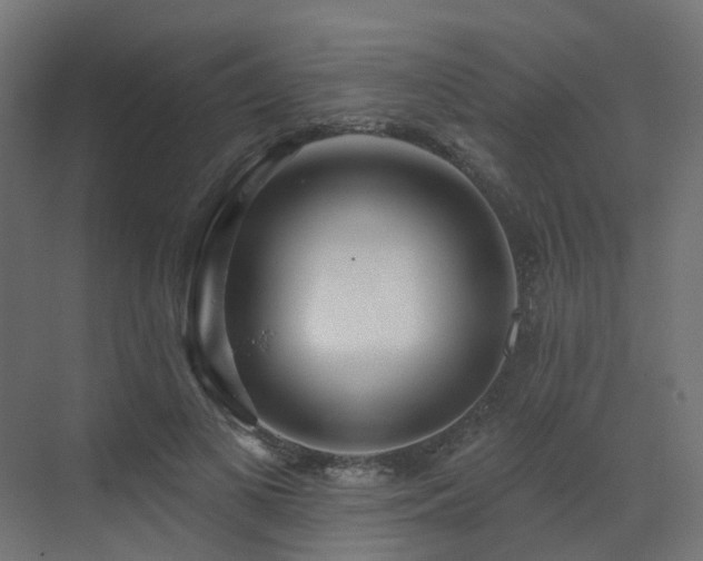 X0000073500693200607311253
