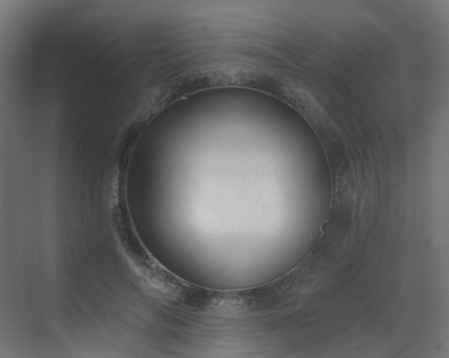 X0000073500694200607311253