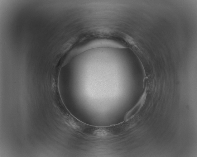 X0000073500704200607311253