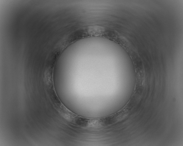 X0000073500705200607311253