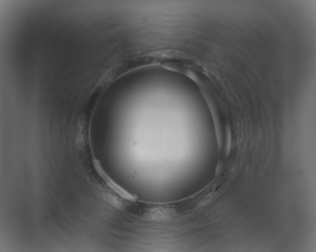 X0000073500708200607311253