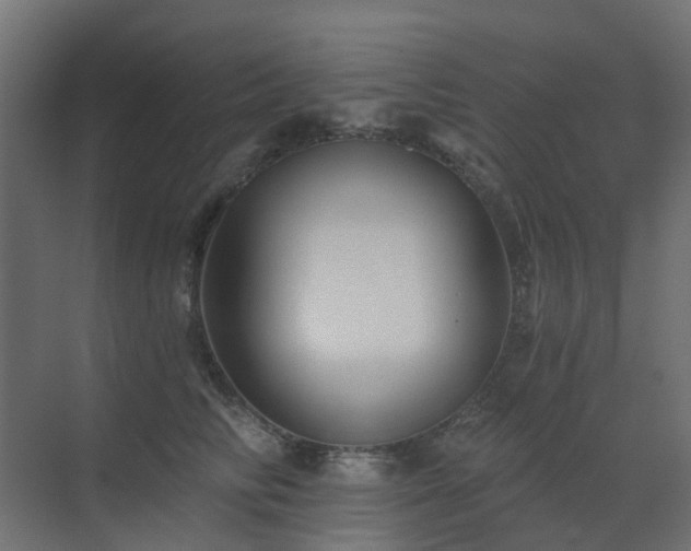 X0000073500710200607311253