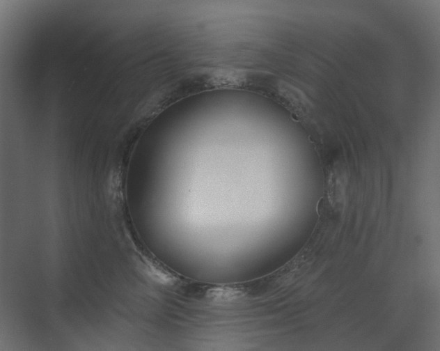 X0000073500714200607311252