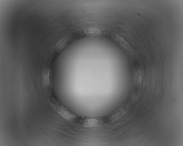 X0000073500717200607311252