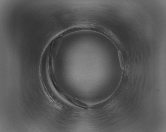 X0000073500724200607311252
