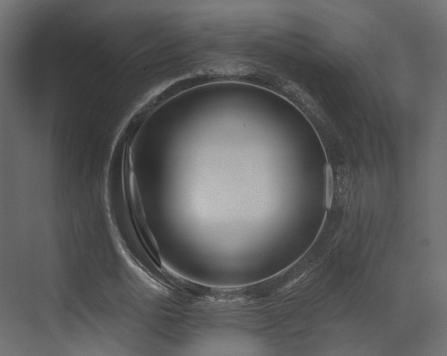 X0000073500726200607311252