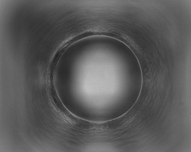 X0000073500727200607311252