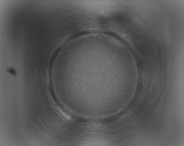 X0000073500729200607311252