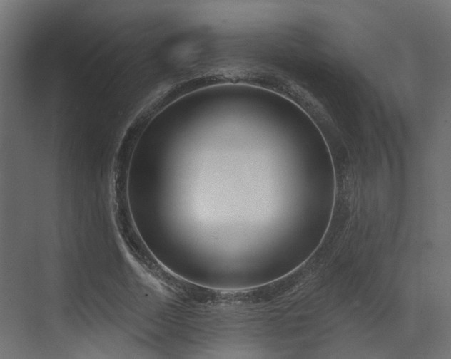 X0000073500730200607311252