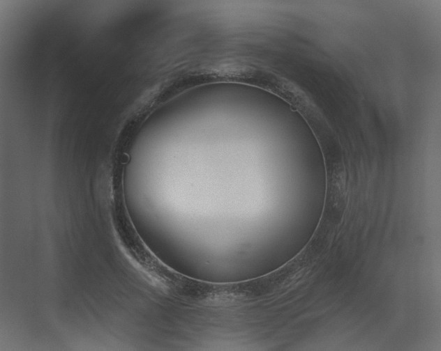 X0000073500734200607311252