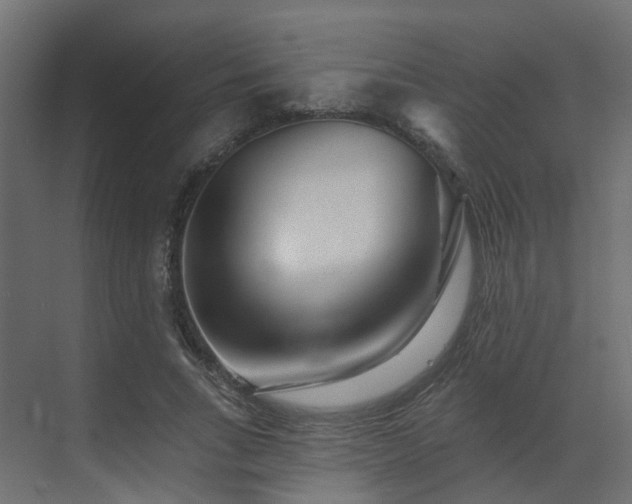 X0000073500735200607311252