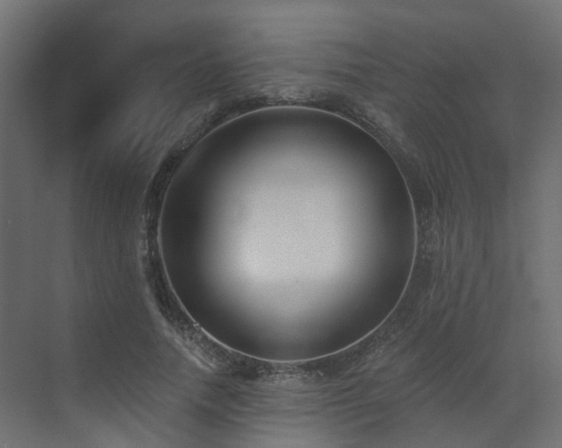 X0000073500738200607311252