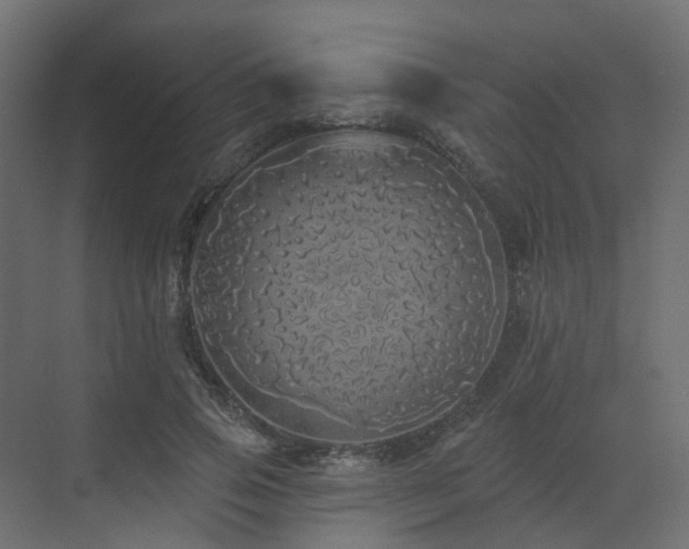 X0000073500741200607311252