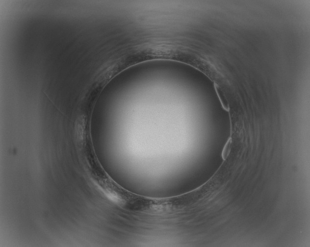 X0000073500744200607311252