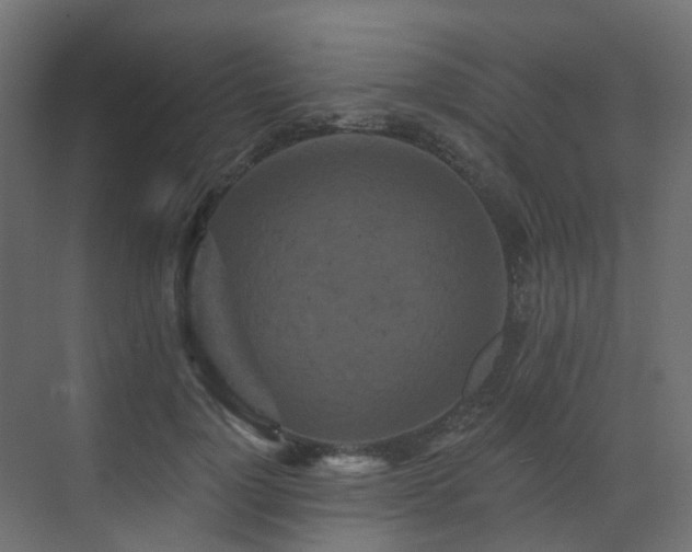 X0000073500748200607311252