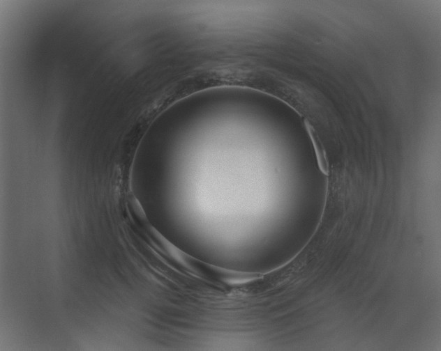 X0000073500752200607311252