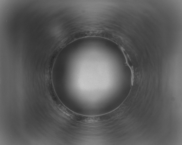 X0000073500756200607311252