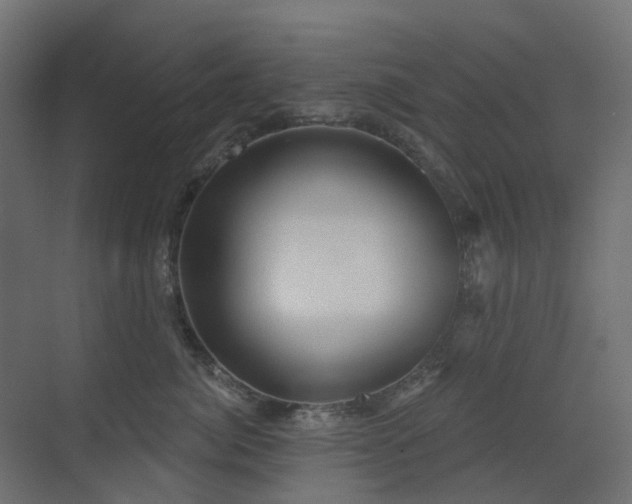 X0000073500764200607311252