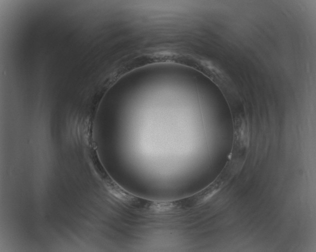 X0000073500767200607311252