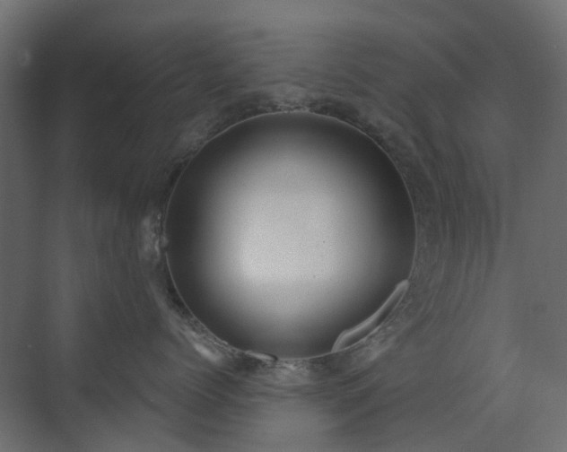 X0000073500768200607311252