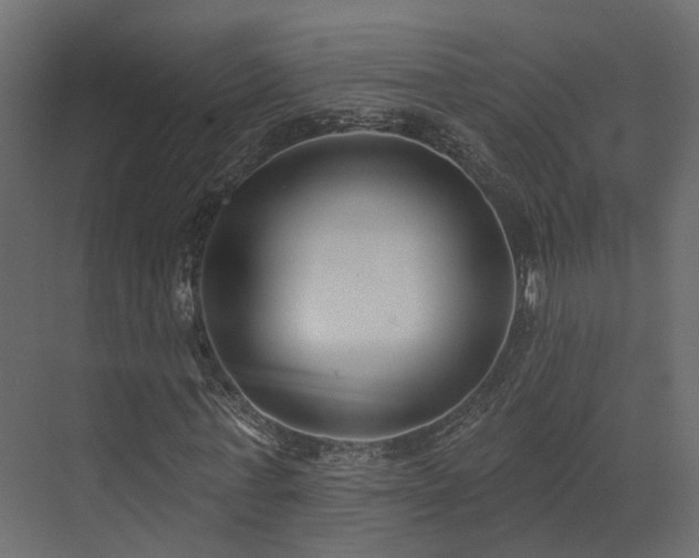 X0000073500771200607311252